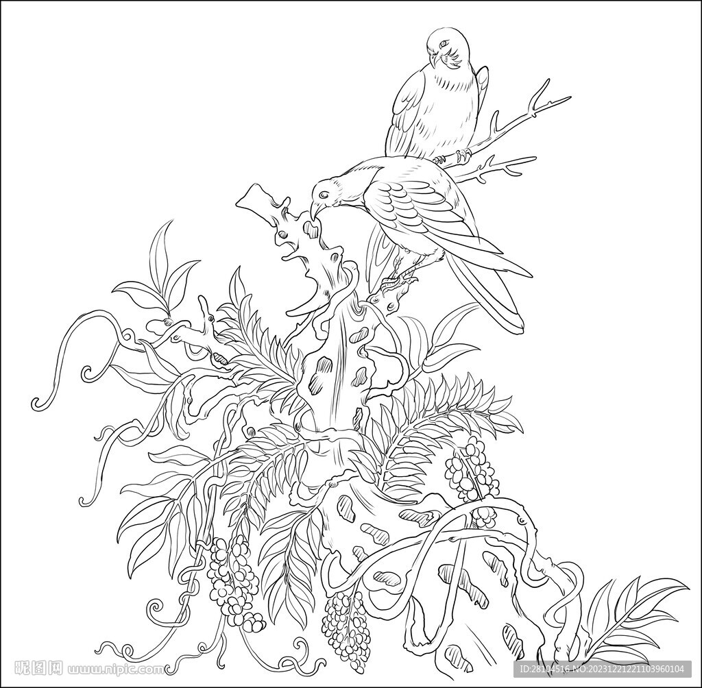 花鸟图 