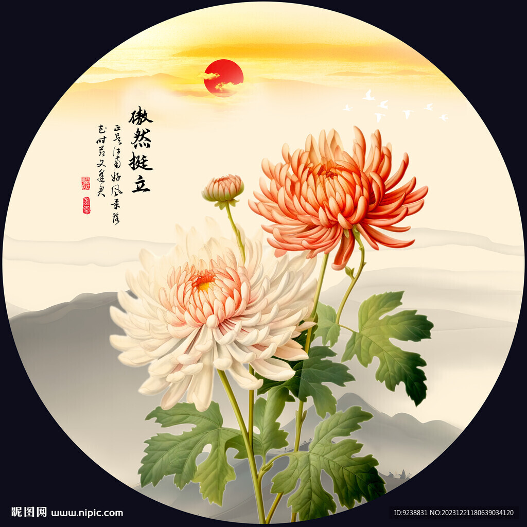 菊花国画