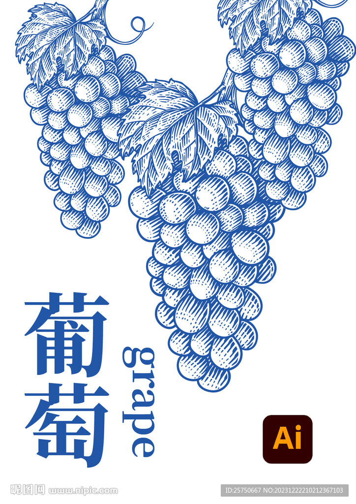 葡萄插画