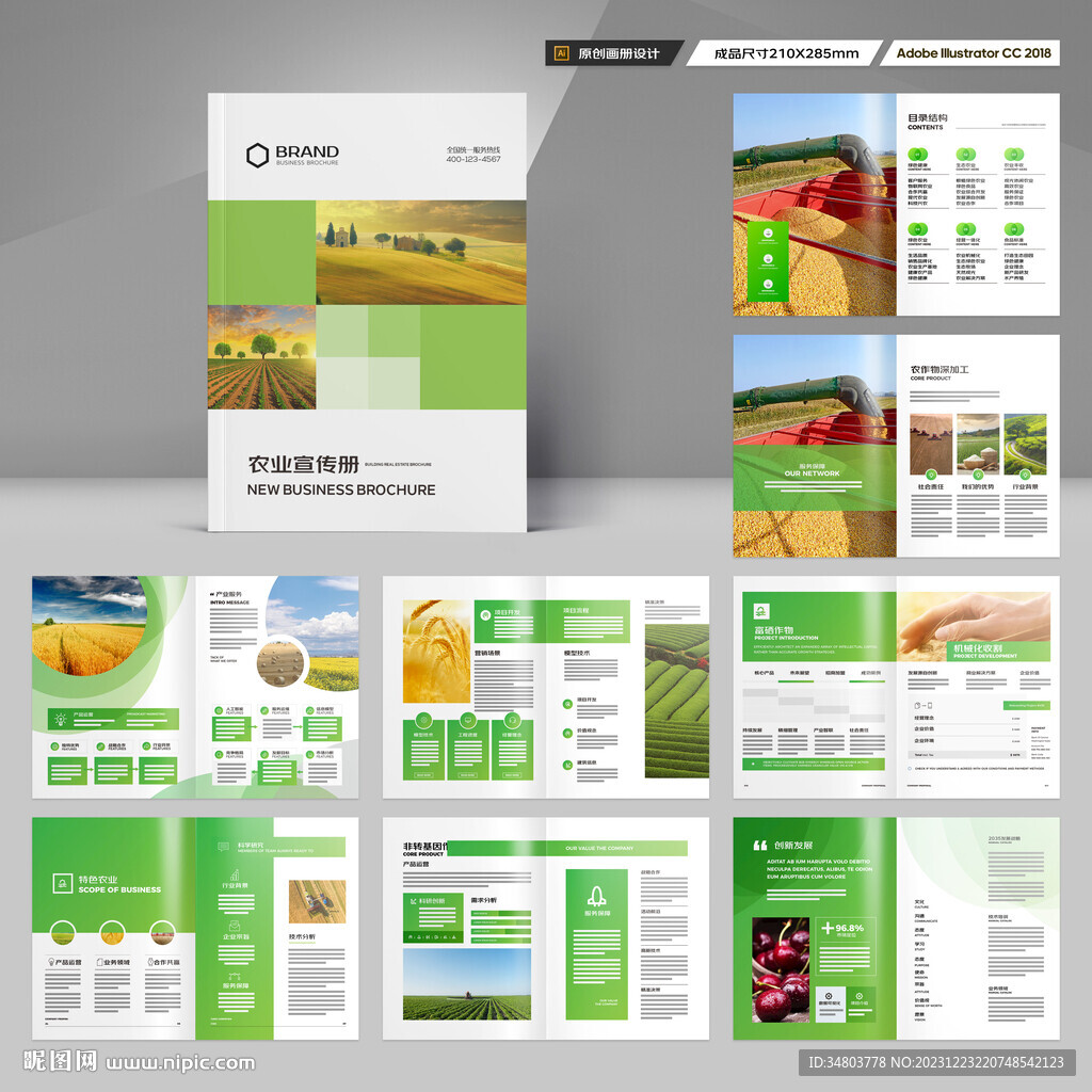 农产品画册