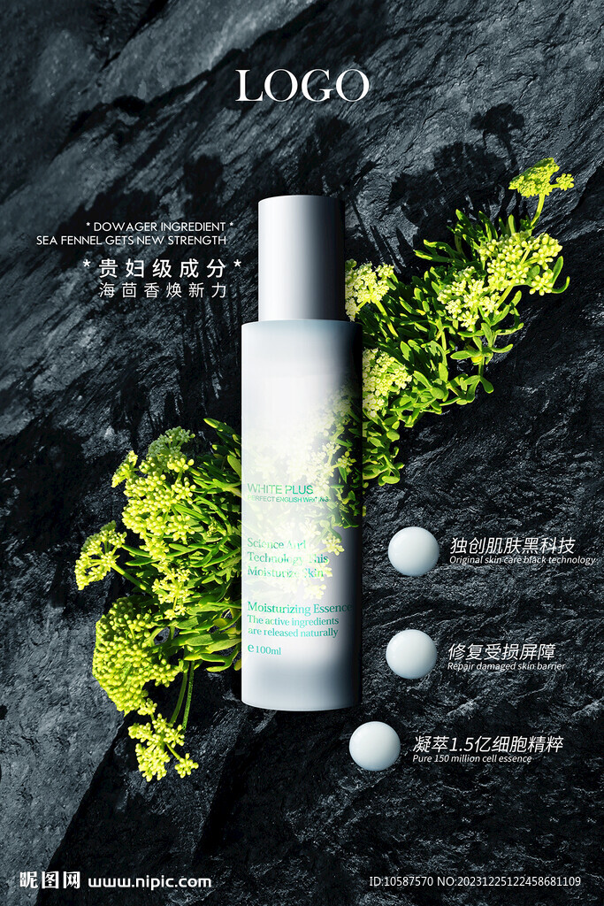 海茴香精华