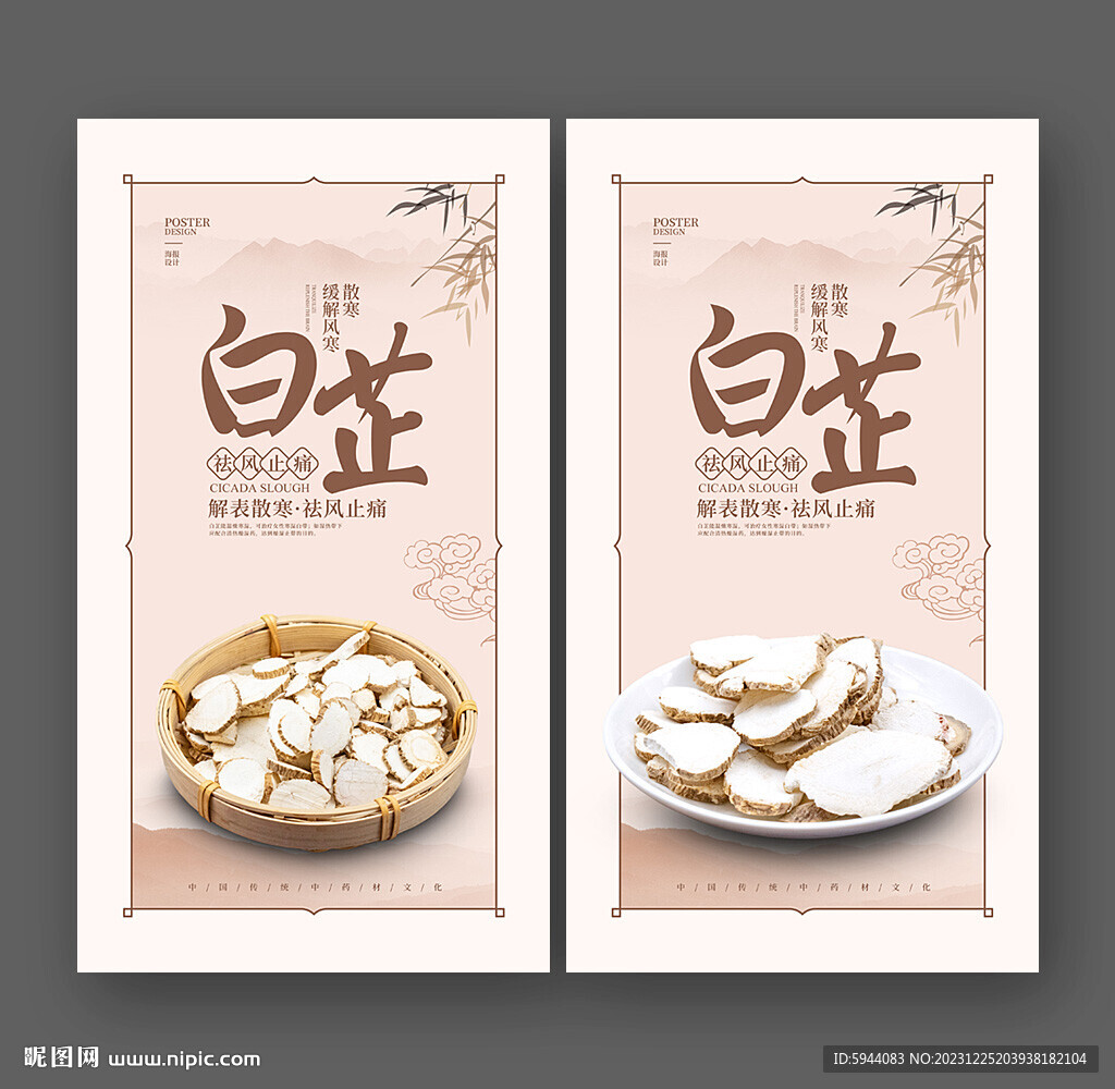 白芷