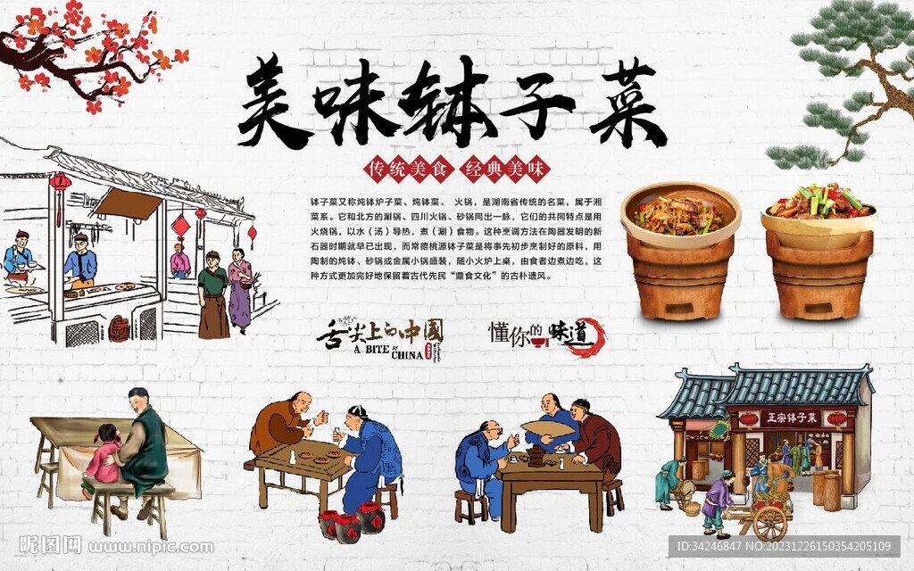钵子菜