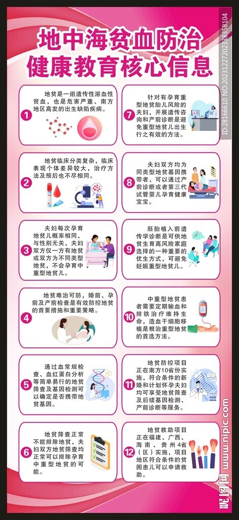 地中海贫血防治核心信息展架