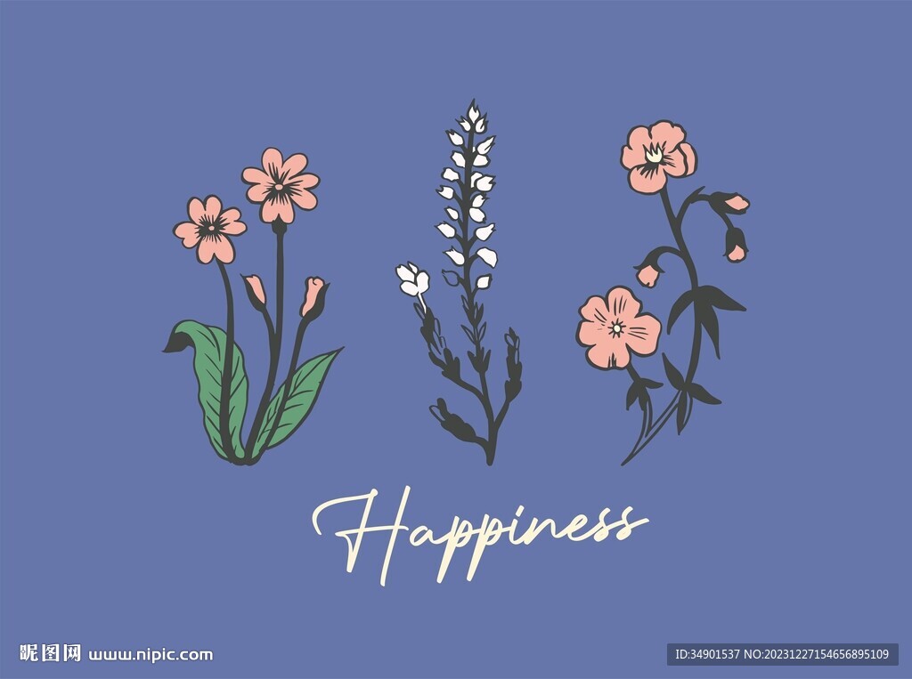 花插画英文设计