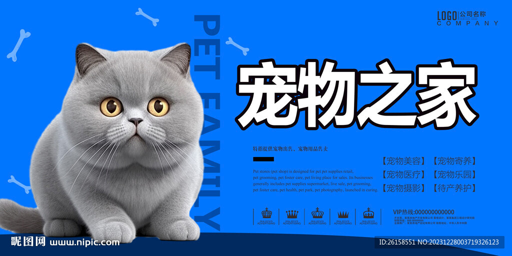 宠物