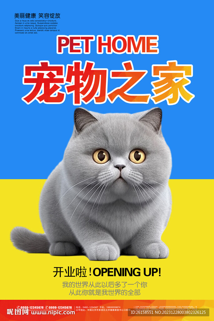 宠物
