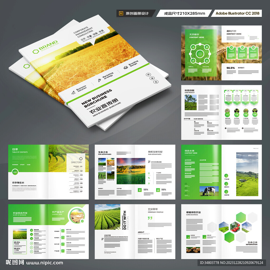 农业宣传册