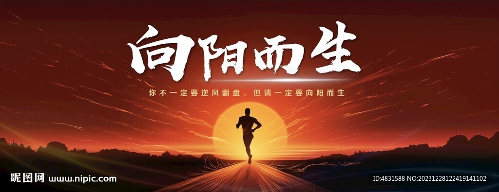 向阳而生