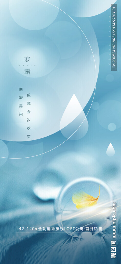 寒露  海报