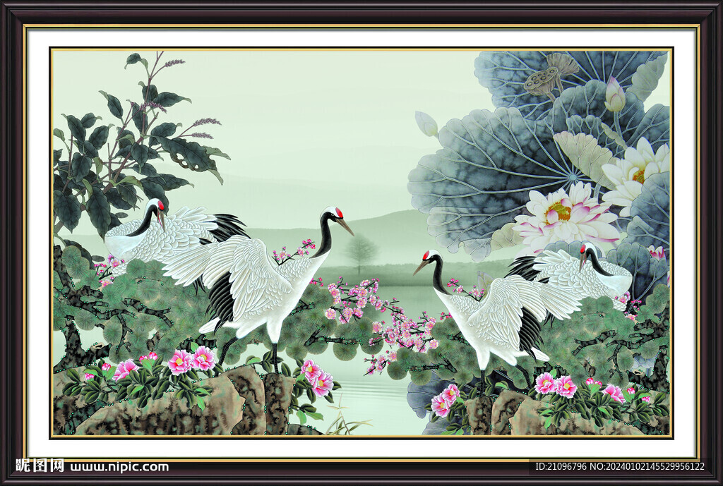 荷花