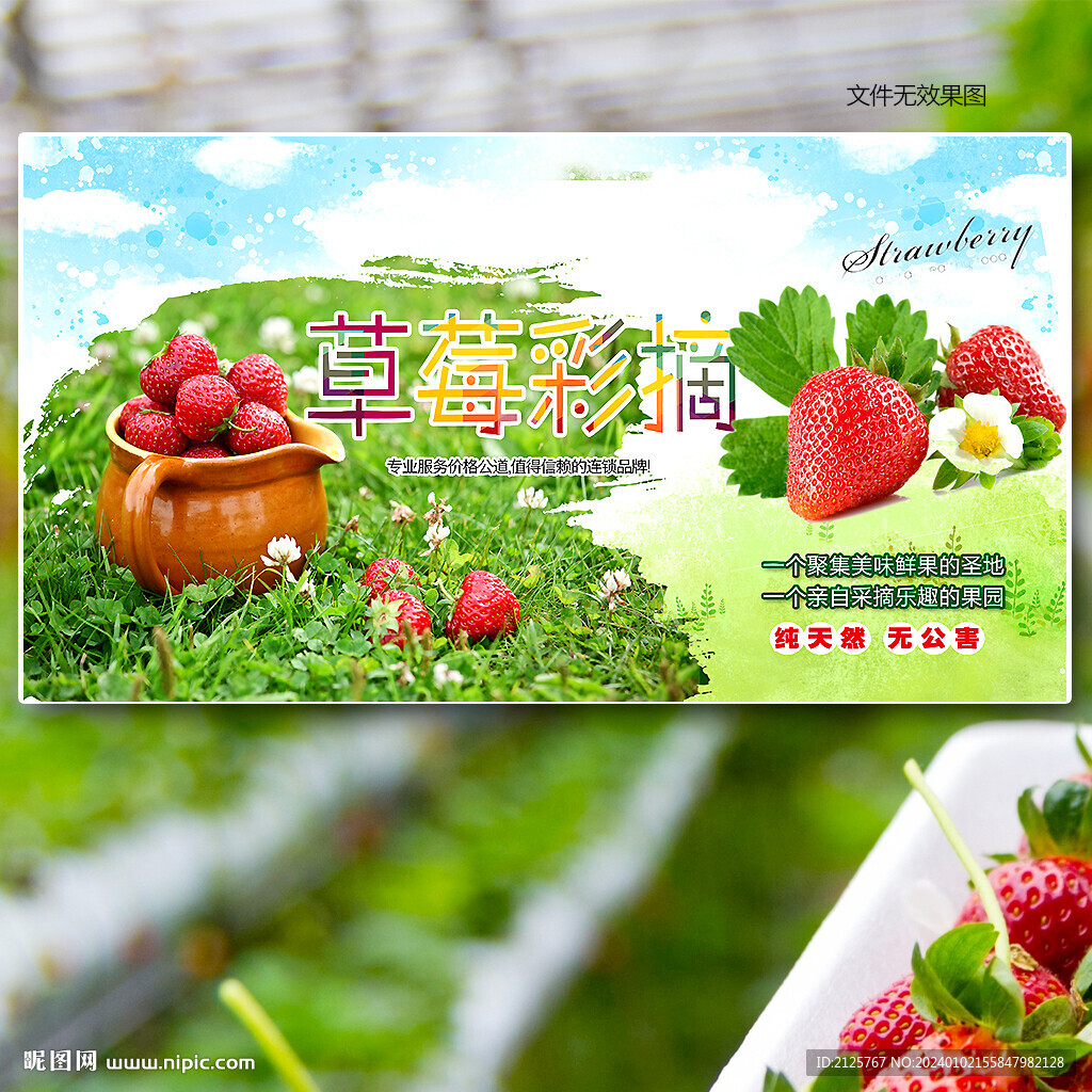 草莓展板