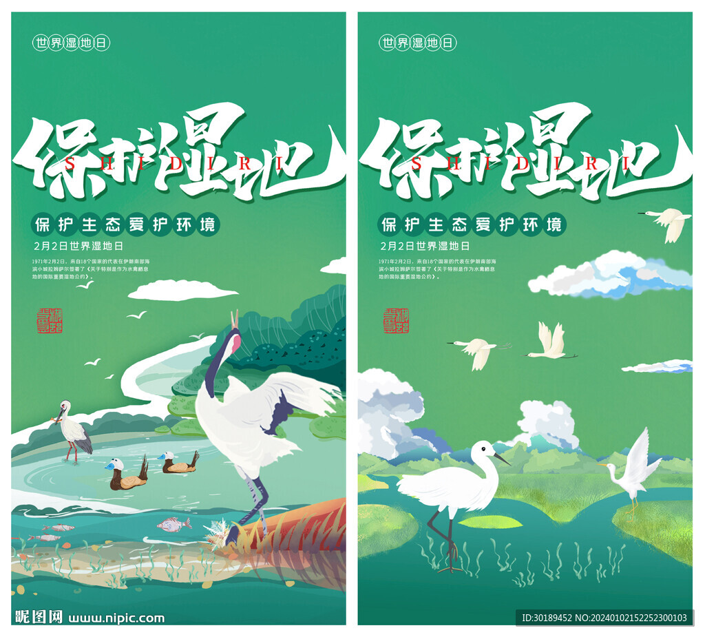湿地插画海报设计