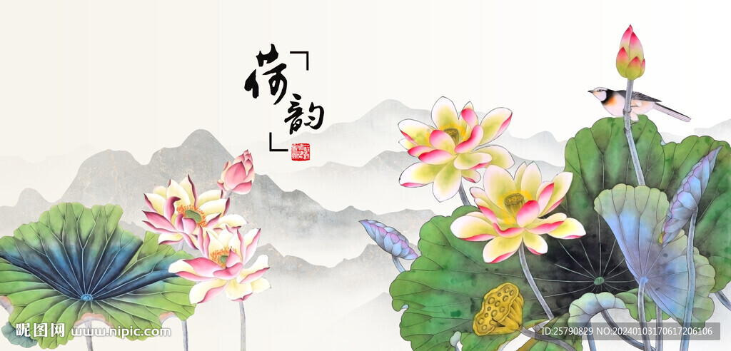 荷花国画