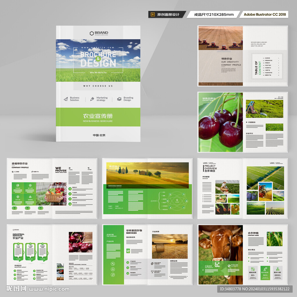 农产品画册