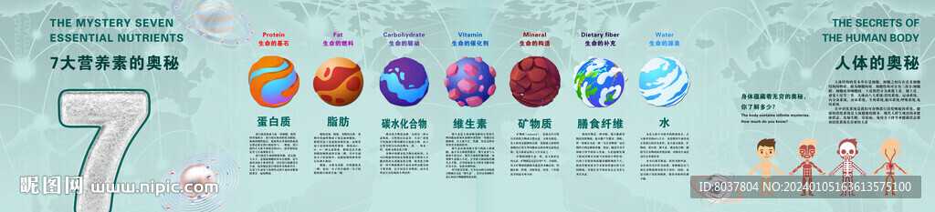 七大营养素