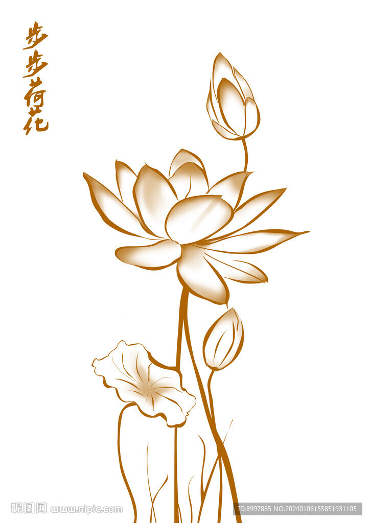 高档荷花