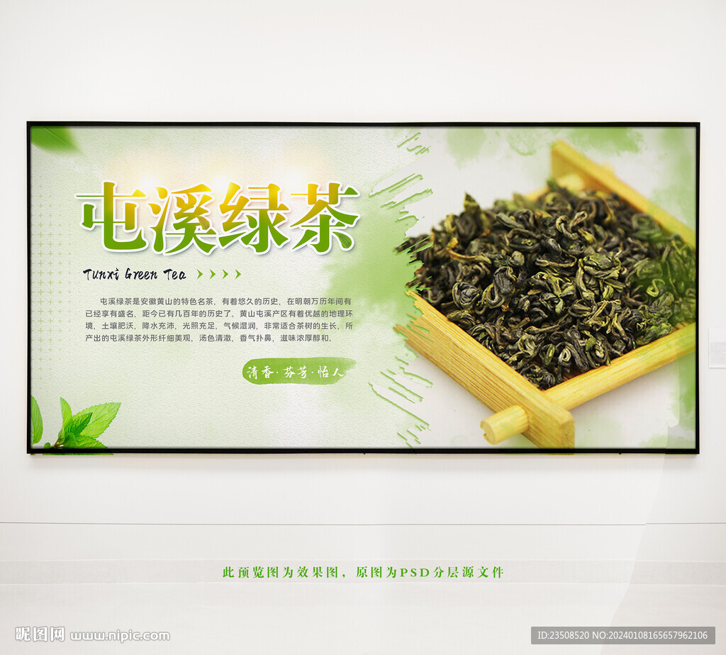 屯溪绿茶茶叶展板
