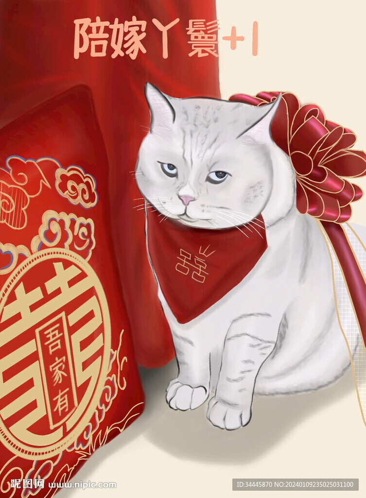 陪嫁丫鬟猫猫