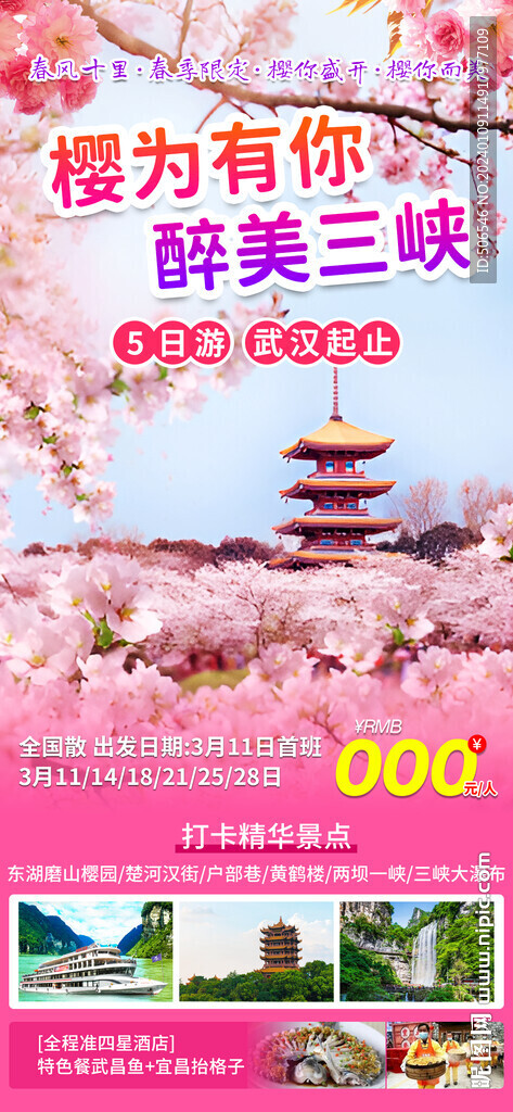 东湖磨山樱园旅游宣传广告图