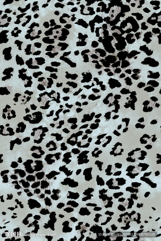 豹纹