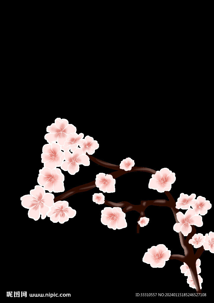梨花插画