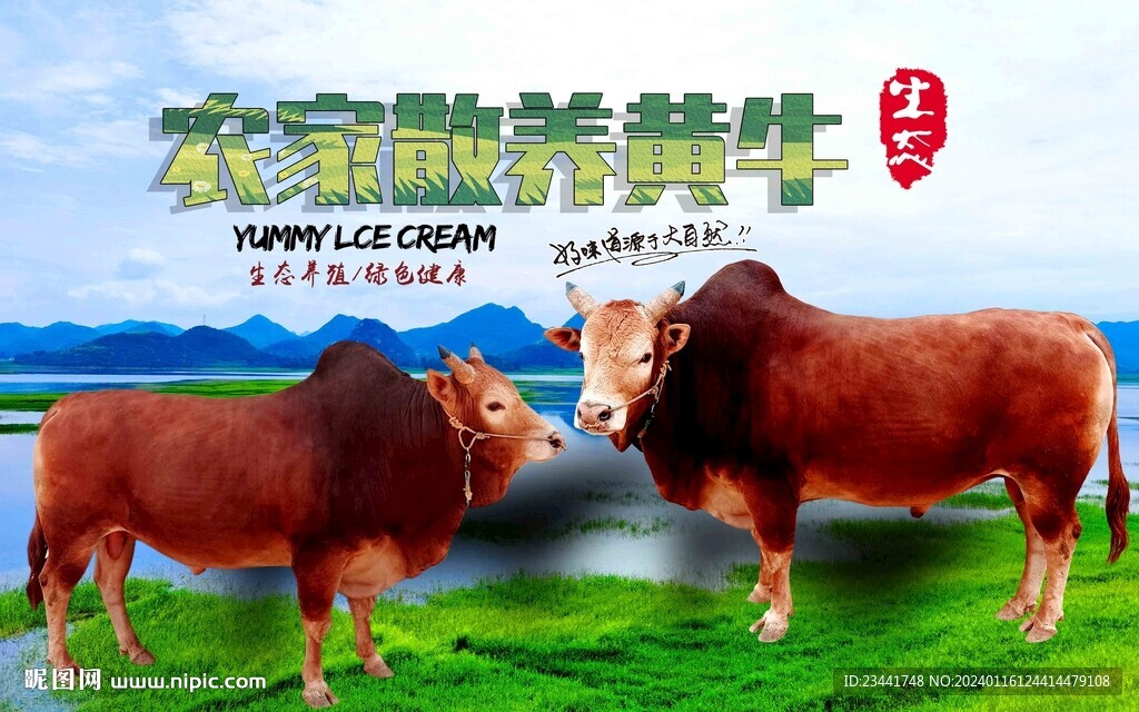 黄牛海报