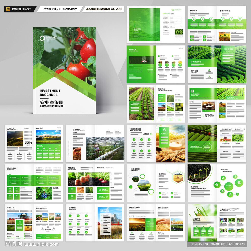 农产品宣传册