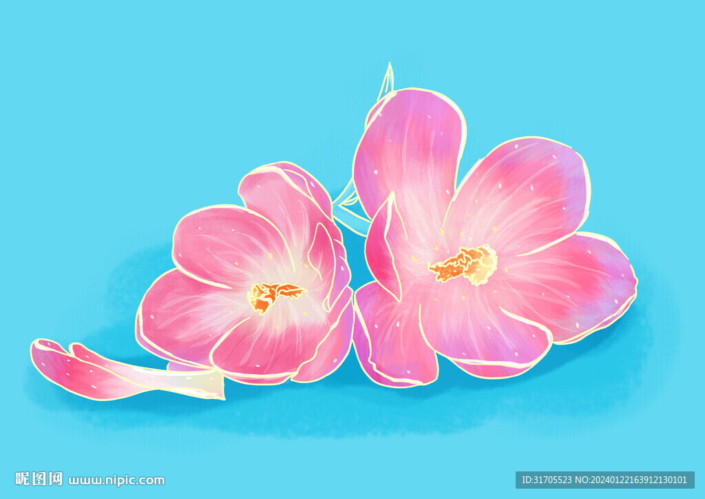 粉色桃花纹理插画