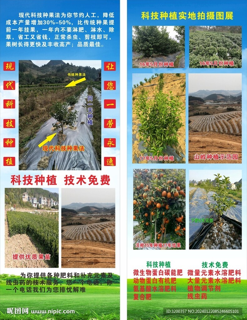 种果技术