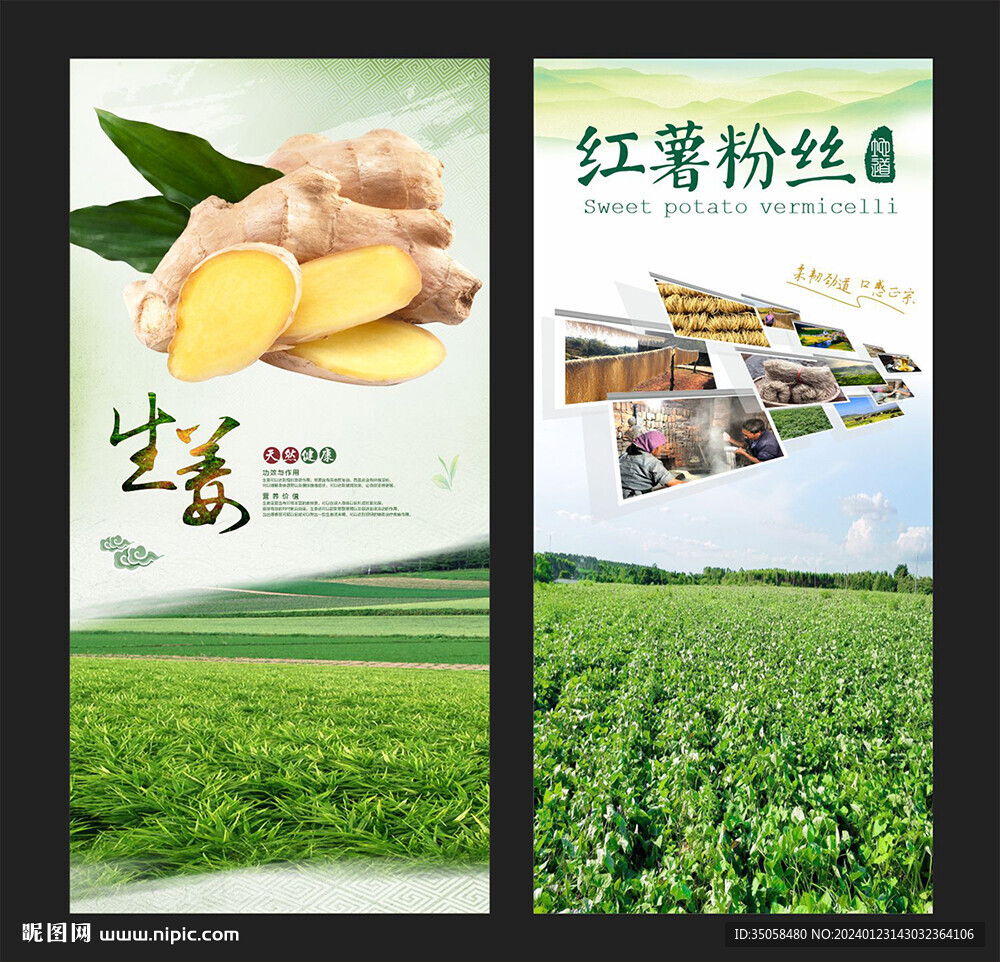 特产红薯粉生姜