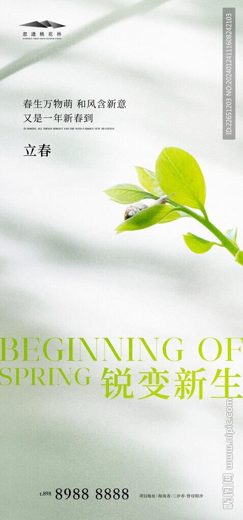 立春
