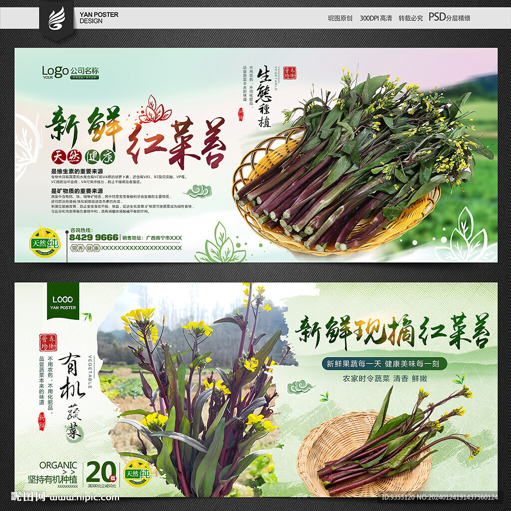 红菜苔