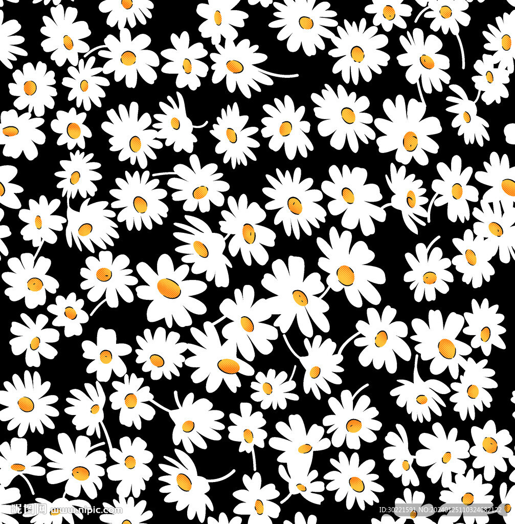 雏菊