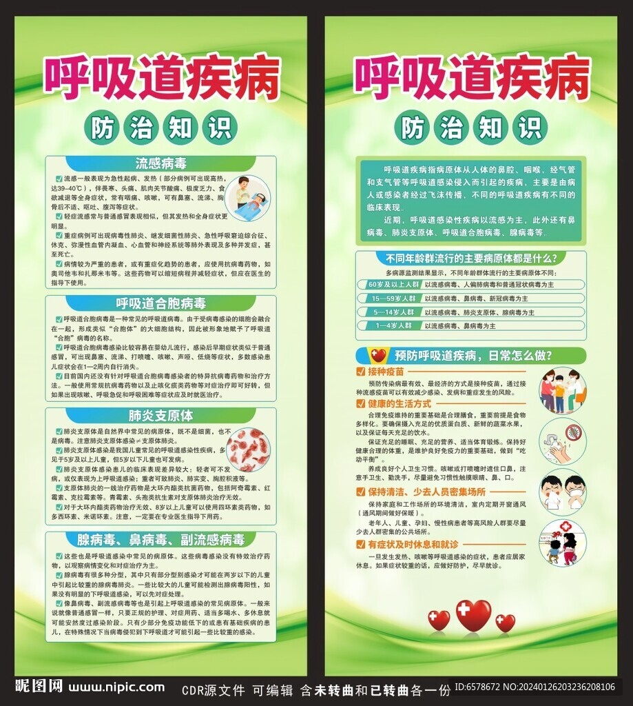 呼吸道疾病防治知识X展架