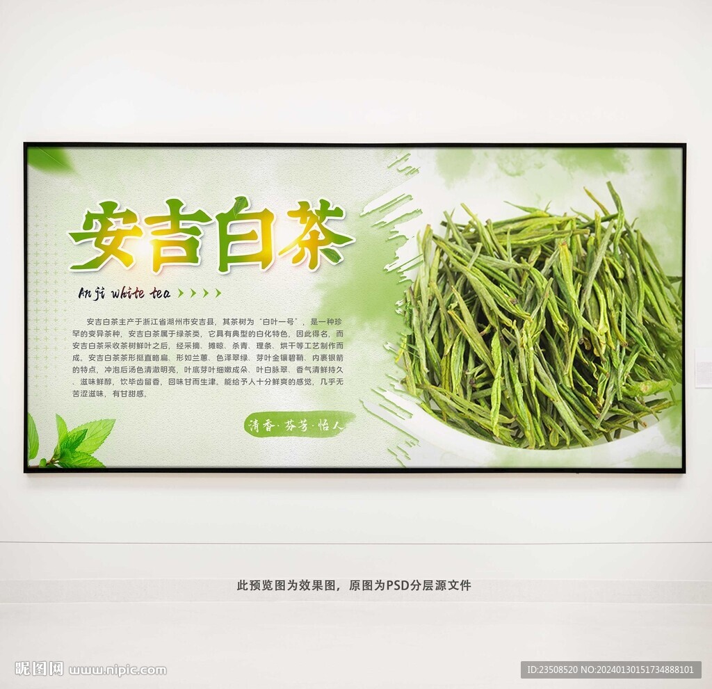 安吉白茶茶叶展板