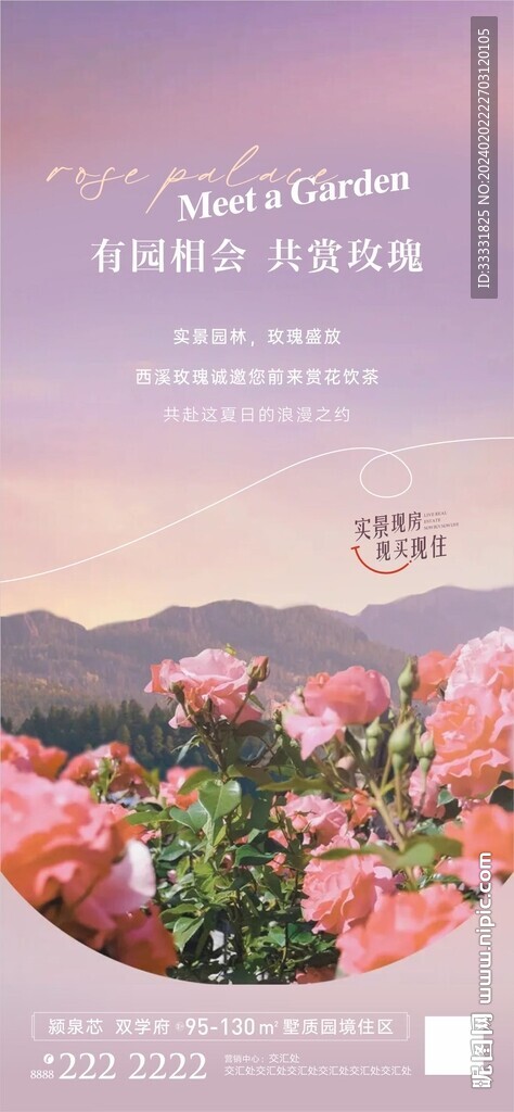 玫瑰花海报