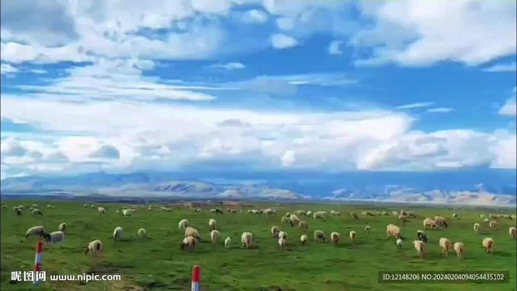 草原蓝天白云河流羊群视频