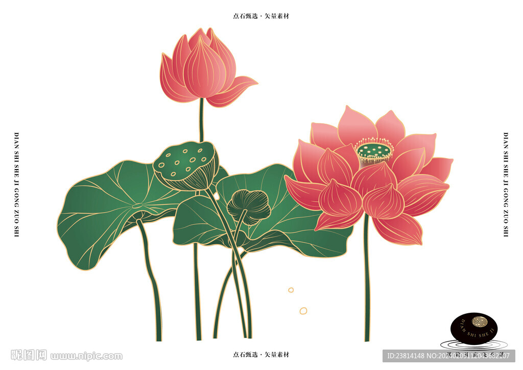 荷花