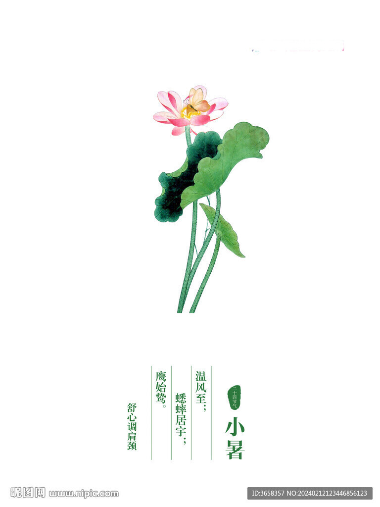 节气海报