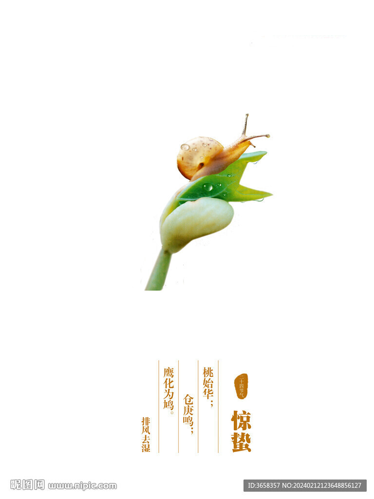 节气海报