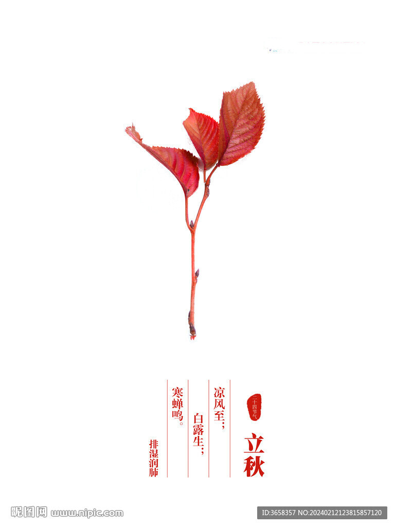 节气海报