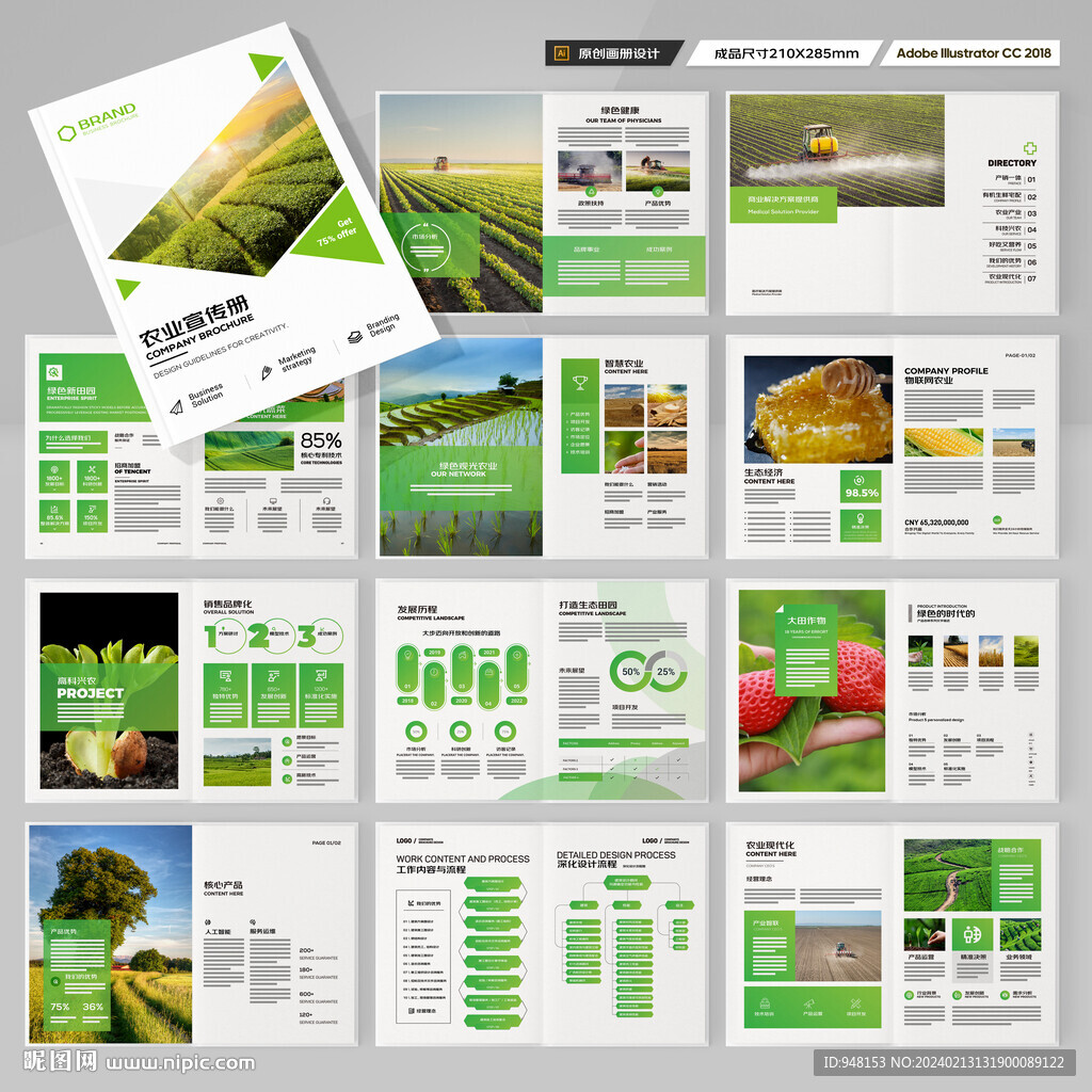 农产品宣传册