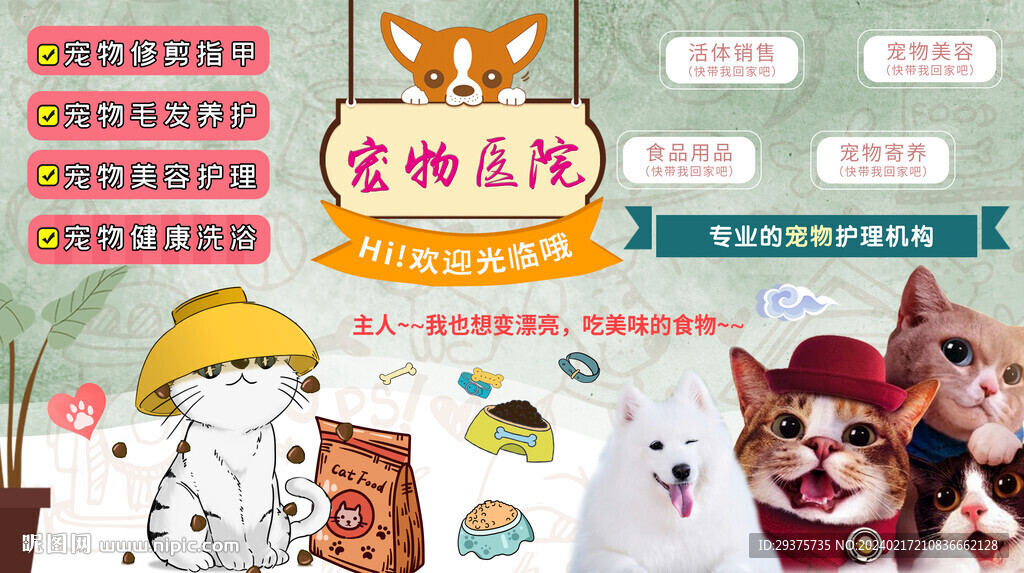 宠物之家