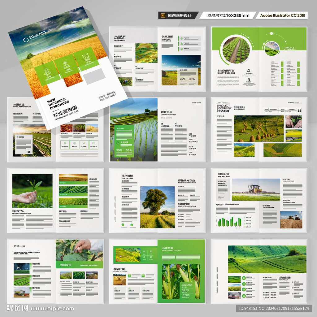 农产品画册