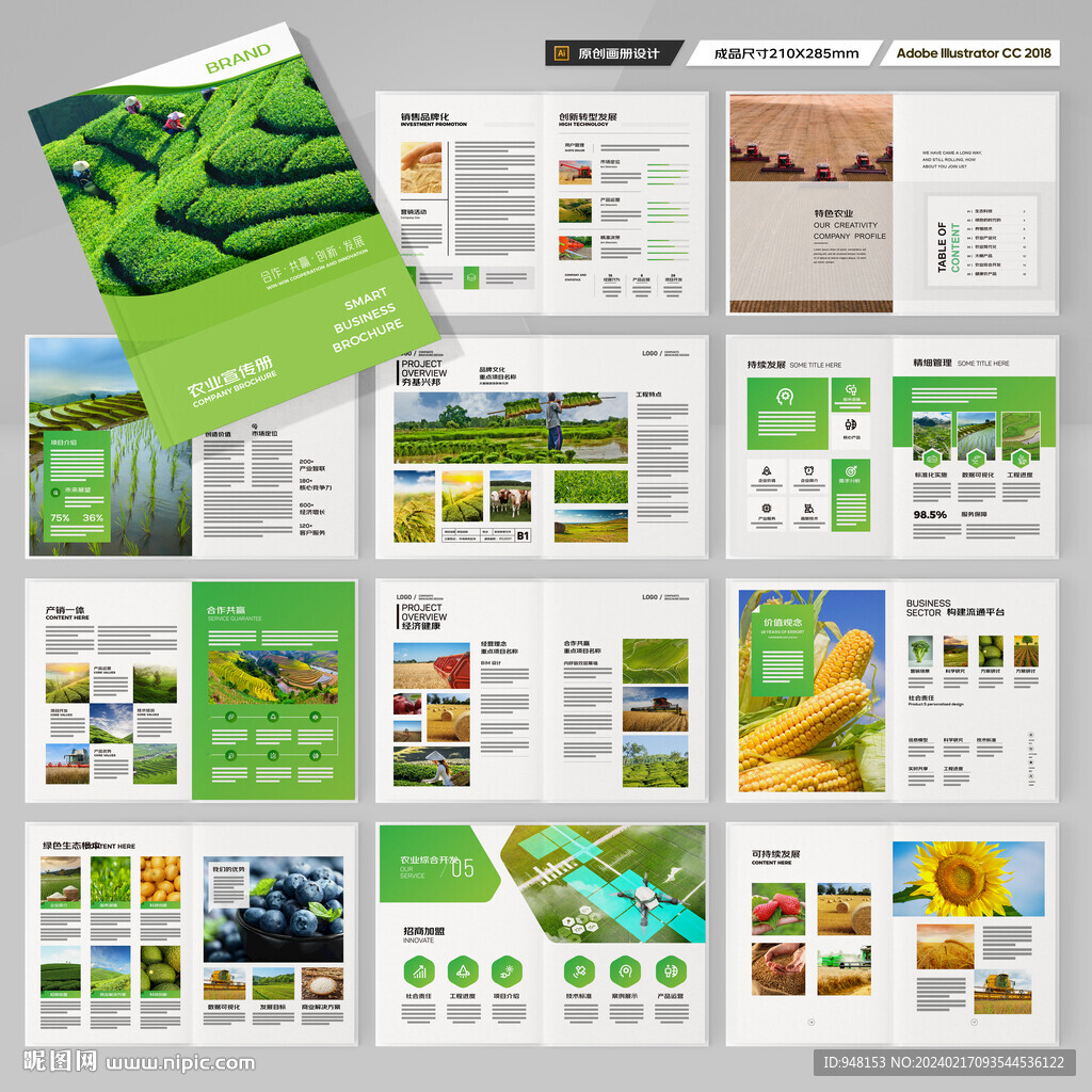 农业合作社画册
