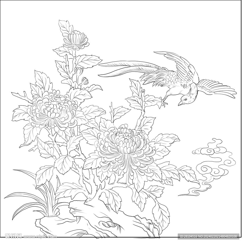 菊花 