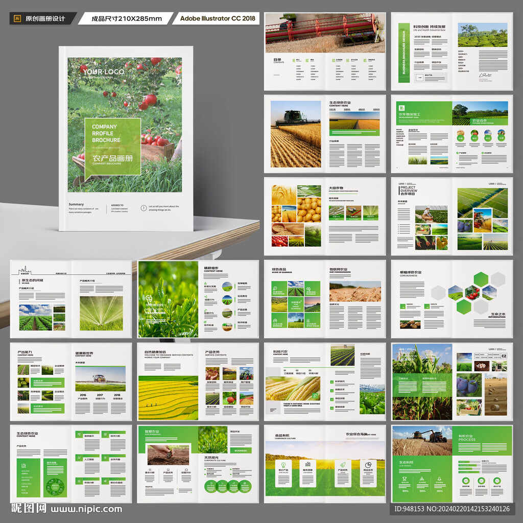 农产品宣传册