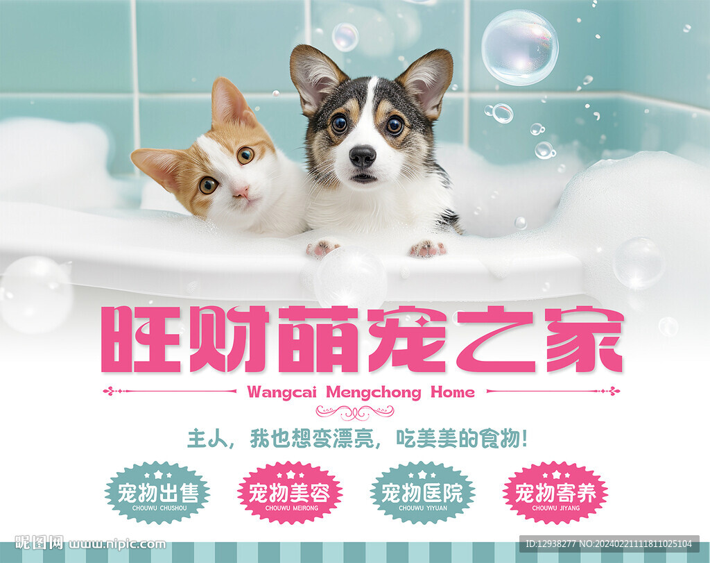 宠物