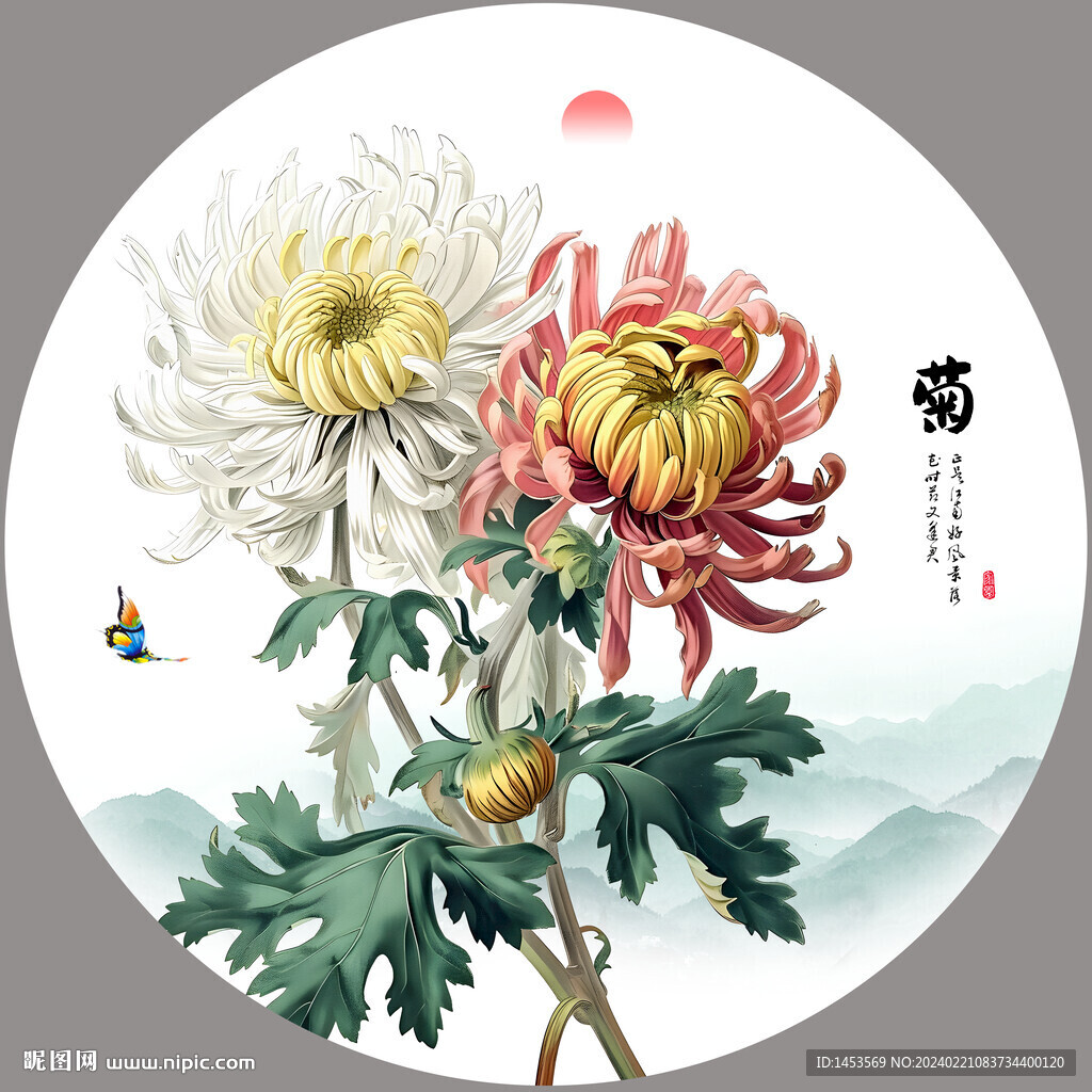 国画菊花